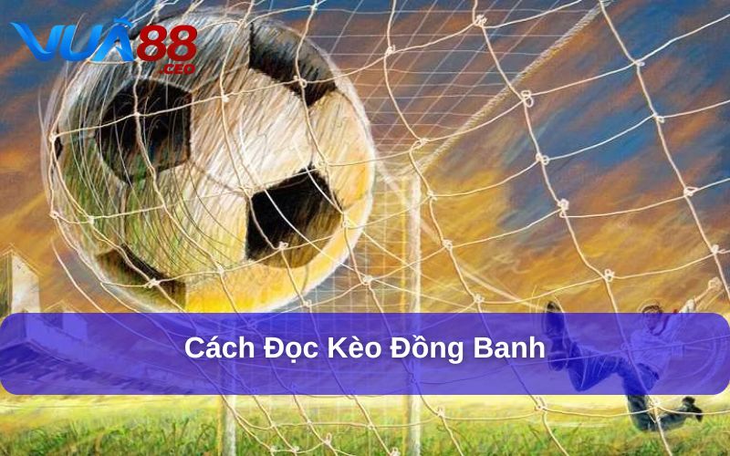 Kèo Đồng Banh Và Những Thông Tin Chi Tiết Cho Người Chơi Cách đọc kèo đồng banh chuẩn và chi tiết nhất