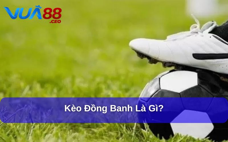 Kèo Đồng Banh Và Những Thông Tin Chi Tiết Cho Người Chơi Giải thích kèo đồng banh là gì