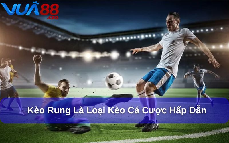 Kèo Rung Bóng Đá: Cách Đặt Cược Và Lời Khuyên Từ Chuyên Gia Kèo rung là một loại kèo cá cược cực kỳ hấp dẫn