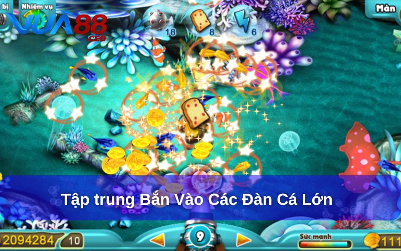 Tập trung bắn vào các đàn cá lớn để mang về nhiều điểm