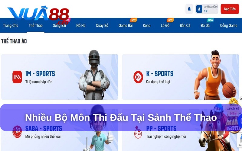 Hơn 100+ môn thể thao được tích hợp tại Vua88