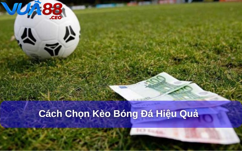 Tổng hợp các loại kèo bóng đá và cách chơi hiệu quả