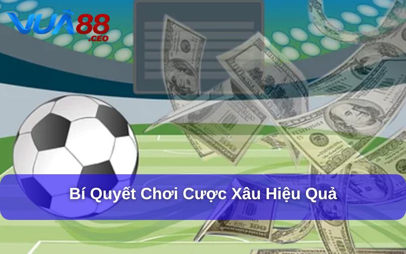 Cược Xâu Bóng Là Gì? Bí Quyết Đặt Cược Xâu Hiệu Quả Bật mí cách chơi cược xâu rất hiệu quả