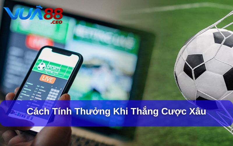 Cược Xâu Bóng Là Gì? Bí Quyết Đặt Cược Xâu Hiệu Quả Tính thưởng cược xâu bóng đá